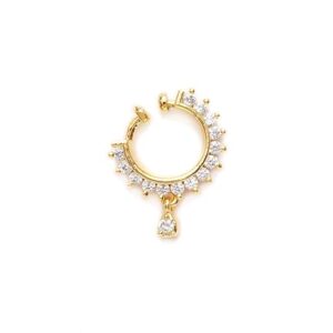 nose ring desi